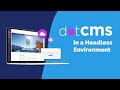 Using dotcms in a headless environment