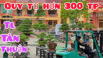 Triển lãm hơn 300 tác phẩm xuất sắc chào mừng đại hội sinh vật cảnh xã Tân Thuận nhiệm kỳ 2025-2030