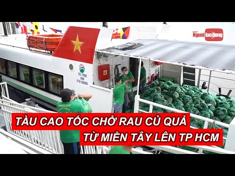 Video Tàu cao tốc chở gần 40 tấn rau củ quả từ miền Tây lên... - youtube
