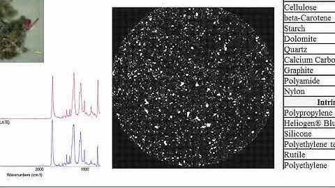 pda  visual inspection forum 2017