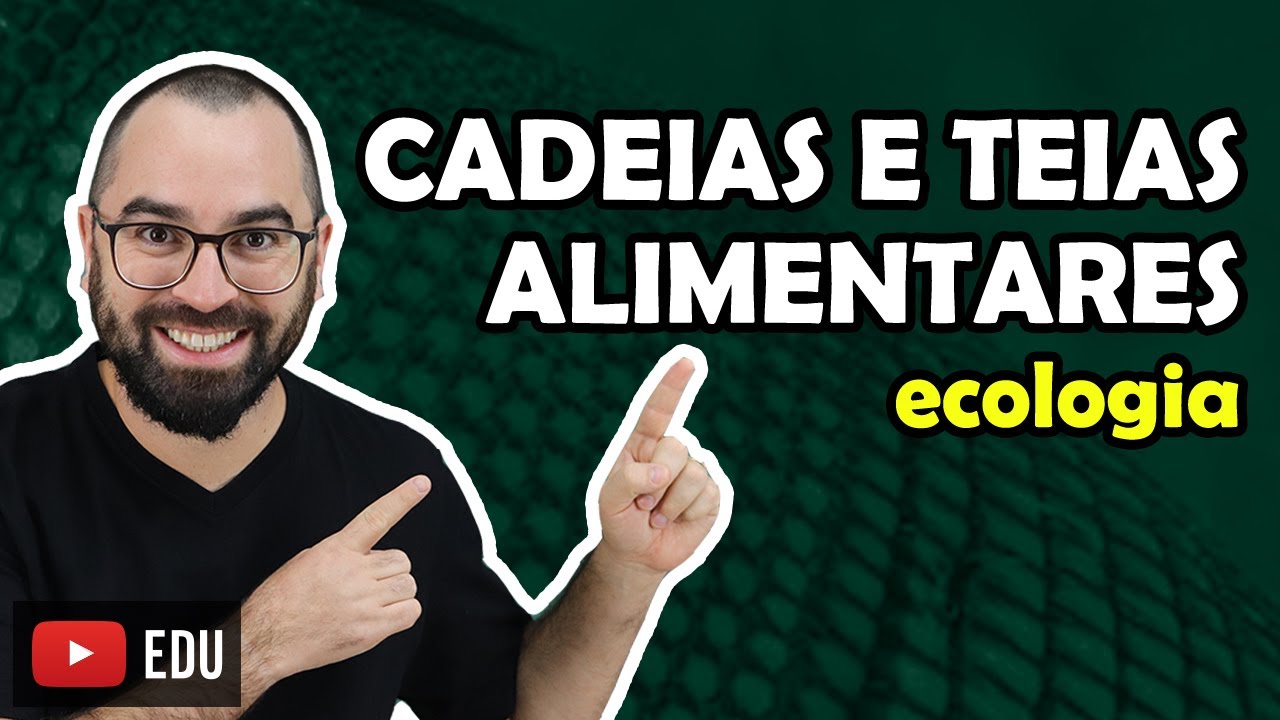 Cadeias e Teias Alimentares - Aula 03 - Módulo VIII: Ecologia | Prof. Gui