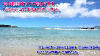 射手矢侑大の まとめ動画 Youtube