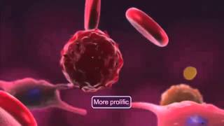 Cord Blood Stem Cells The Diverse Population of Newborn Stem Cells