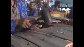 Ora gampang tayub
