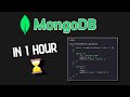 MongoDB Crash Course 2023 📚