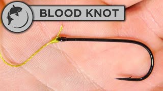How To Tie a Half Blood Knot 