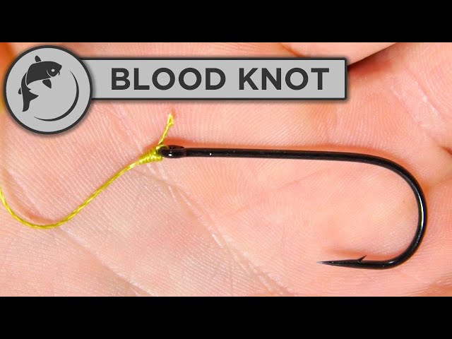 How To Tie a Half Blood Knot 