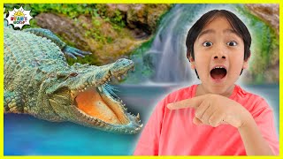 ryan learns alligator facts for kids educational video with ryans world