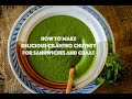 Spicy and delicious cilantro chutney