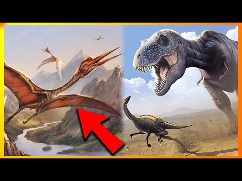 Video: Hvorfor Forsvandt Dinosaurer?