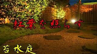 和風庭園をローボルトライトを使いライトアップ。