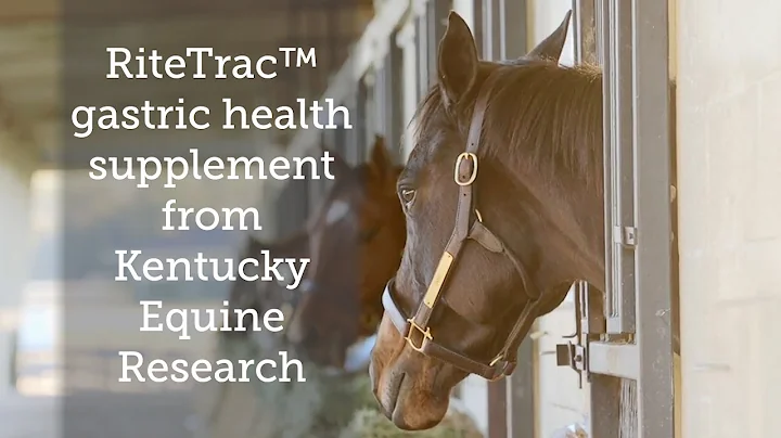 RiteTrac™ gastric health supplement from Kentucky Equine Research
