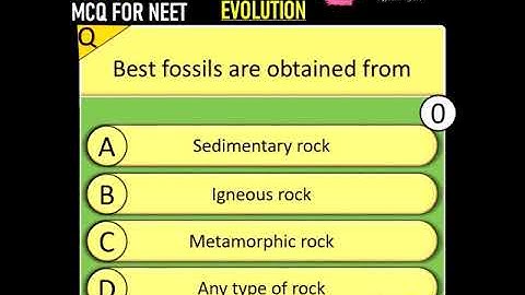 Evolution important mcq for neet 2022