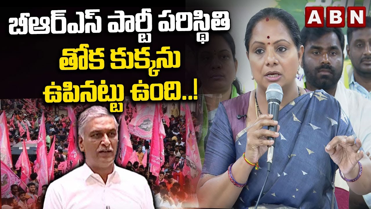బీఆర్ఎస్ పార్టీ పరిస్థితి తోక కుక్కని ఊపినట్టు ఉంది..! | MLC Kavitha Shocking Comments On Harish Rao