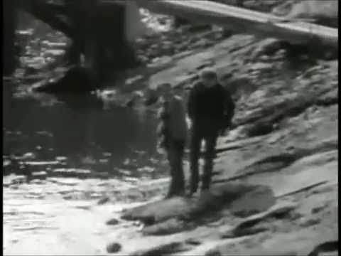 Simon & Garfunkel - I Am A Rock - 1966