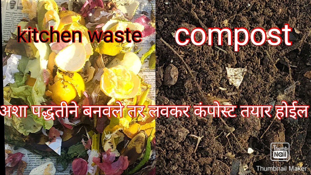 #kitchen waste#compost#स्वयंपाक घरातील कचऱ्यापासून खत बनवणे #🌸🌸👍