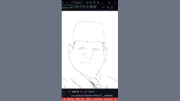 Membuat sketsa wajah Pak Prabowo Subianto menggunakan bahasa pemrograman Python #shorts  #coding