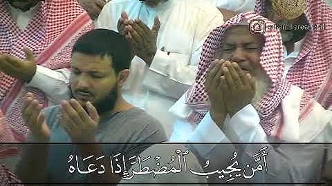 أمن يجيب المضطر إذا دعاه - القارئ الشيخ محمد المحيسني