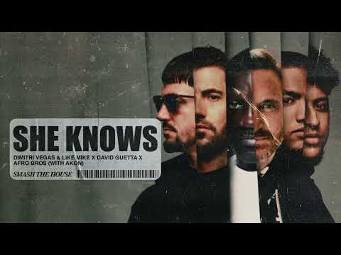 Dimitri Vegas & Like Mike, David Guetta & Afro Bros - She Knows mp3 zene letöltés