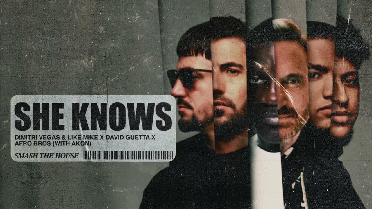 Dimitri Vegas & Like Mike, David Guetta, Afro Bros - She Knows [with Akon]  (Visualizer) - YouTube