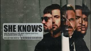 Dimitri Vegas & Like Mike, David Guetta, Afro Bros - She Knows [with Akon] (Visualizer)
