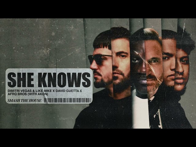 Dimitri Vegas & Like Mike x David Guetta x Afro Bros (with Akon) - She Knows