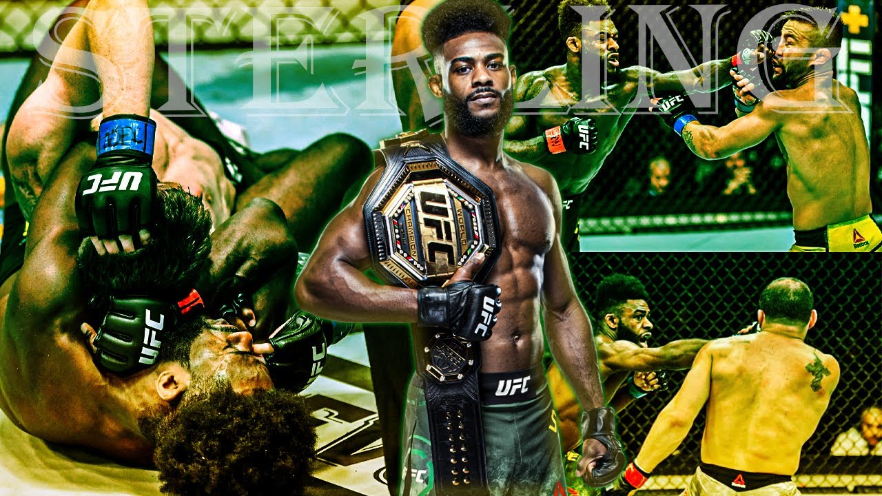 Bow wow - charge. Oh no you win me in pokemon battle. Тони солджа мелон. Sleazyworld go - where the shooters be 2 itunes. Usman 3 poster.