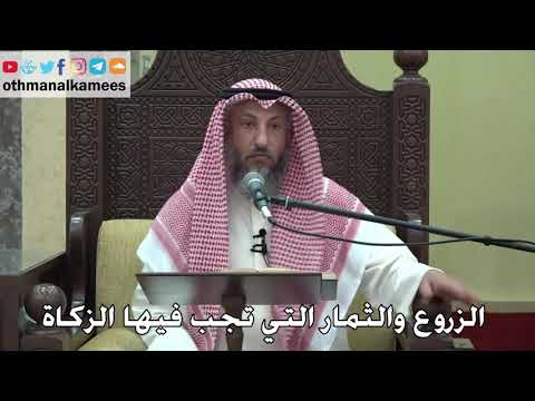 1078 الزروع والثمار التي تجب فيها الزكاة عثمان الخميس دليل الطالب