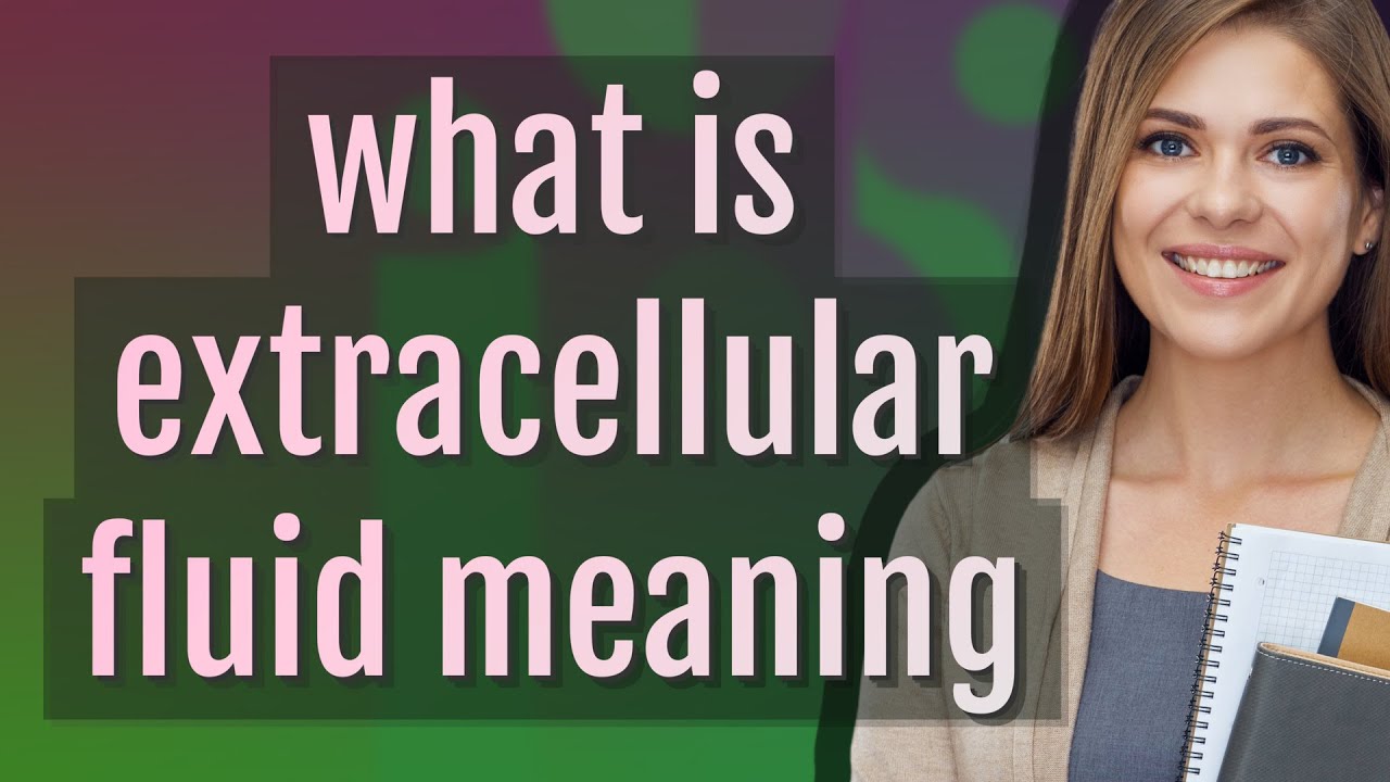 Extracellular fluid | meaning of Extracellular fluid