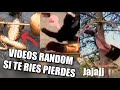 Los Mejores VIDEO MEMES RANDOM DE INTERNET #13, #17 y #20 Videos SI TE RIES PIERDES  (RESUBIDO)