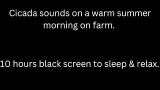 Cicada sounds on a warm summer morning, cicada sounds black screen to sleep & relax relieve tinnitus