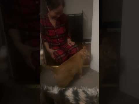 Simba So Happy To See Me