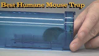 Product Review: Blinc Humane Catch And Release Mouse Trap - See It work!