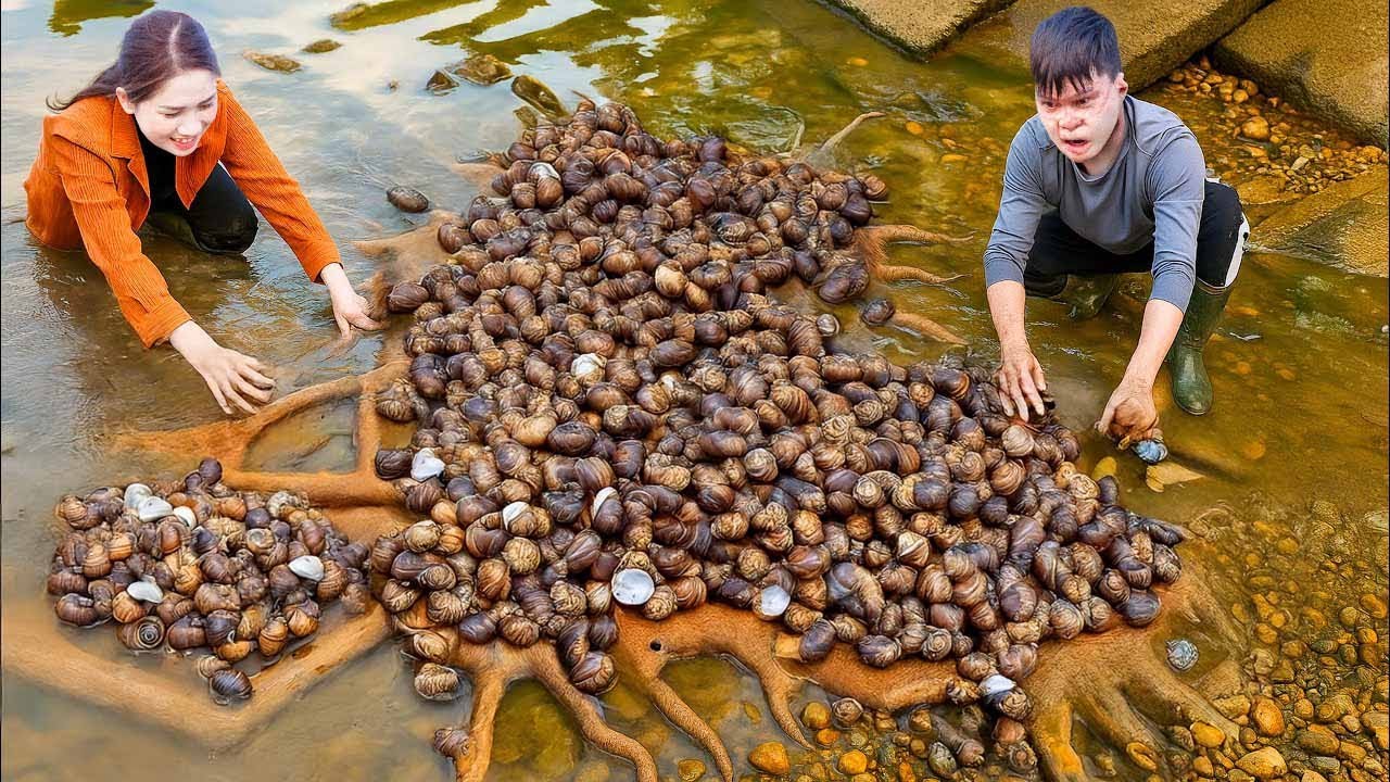Ловля крабов в лесном ручье, обнаружение бедного маленького кролика, застрявшего в горной расщелине.