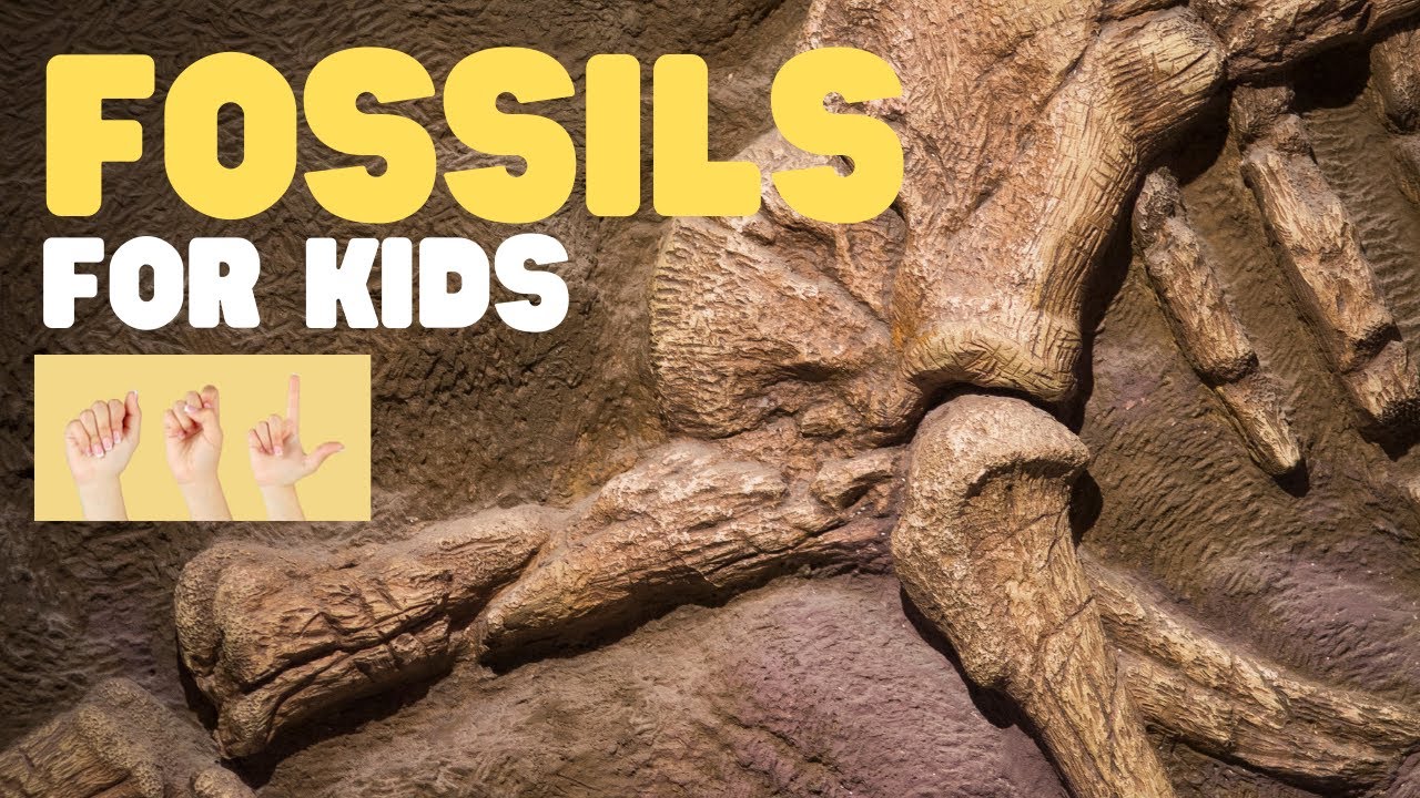 ASL Fossils for Kids