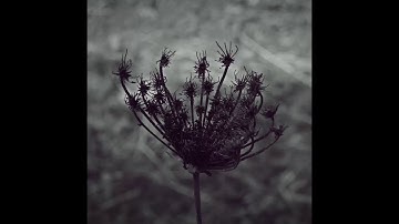 Andrea Cossu - Spira [TGP] (Full Album)