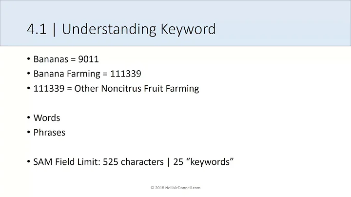DSBS Lesson 4.1 | Understanding Keywords | Learn Business Development with Neil McDonnell