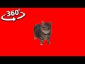 W&amp;W - OIIA OIIA (Spinning Cat) but in 360º VR in 8K