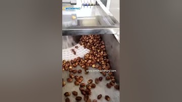 Date Pitting Machine, automatic jujube nuts removing machine