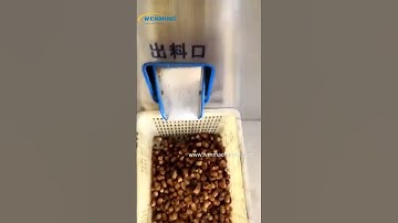 Date Pitting Machine, automatic jujube nuts removing machine