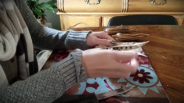 How to Save Okra Seeds 🌱