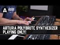 We've Never Heard a Synth Quite Like This..? | Arturia PolyBrute - Playing Only!
