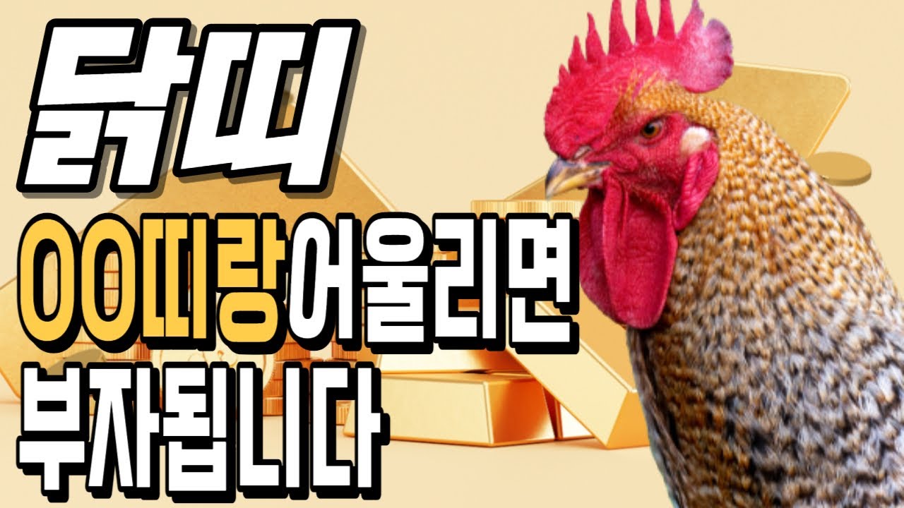 닭띠! OO띠랑 어울리면 부자 됩니다! 닭띠에게 가장 좋은 귀인띠! [운곡스님의 점찰이야기]