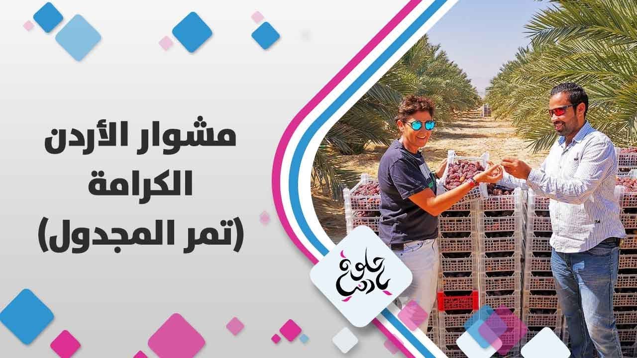 الكرامة (تمر المجدول) - الأردن - حلوة يا دنيا