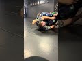 Mount to leglocks #jiujitsu #nogi #10thplanet #10thplanetjiujitsu #bjj
