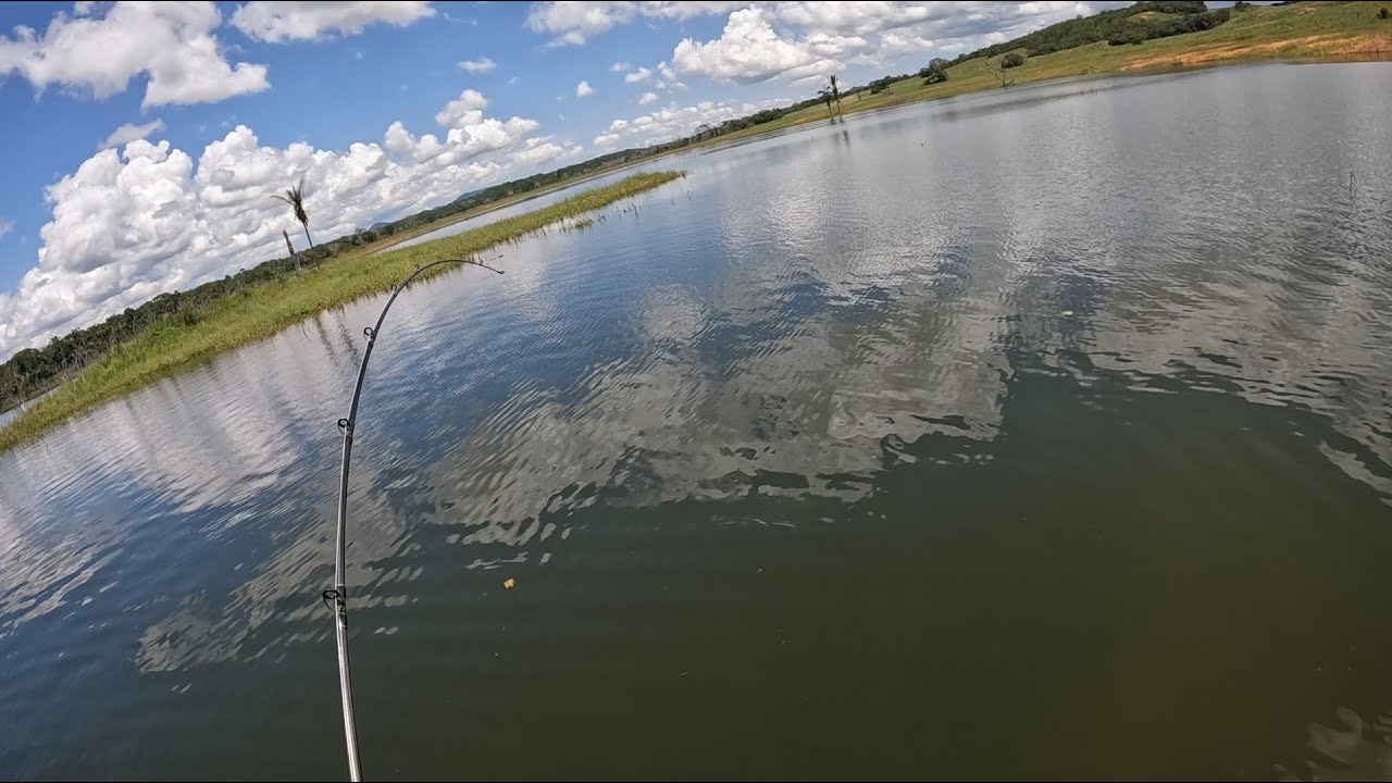 NÃO ACREDITEI! ASSUSTEI COM O TAMANHO DESSE MONSTRO! SONHO REALIZADO! Pescaria