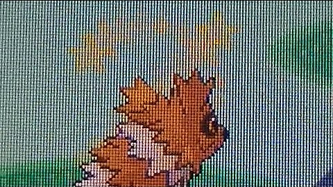 LIVE!! 2nd Shiny Zigzagoon After 2,388 Encounters!!-Sapphire #1