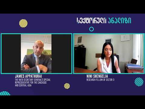 სექტორული ანალიზი|ჯეიმს აპატურაი