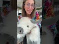 Weighted heated stuffed animal #tiktokshopcreatorpicks #tiktokshoprestock #tiktokshopstockup