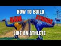 How To Build Hamstrings Like An Athlete